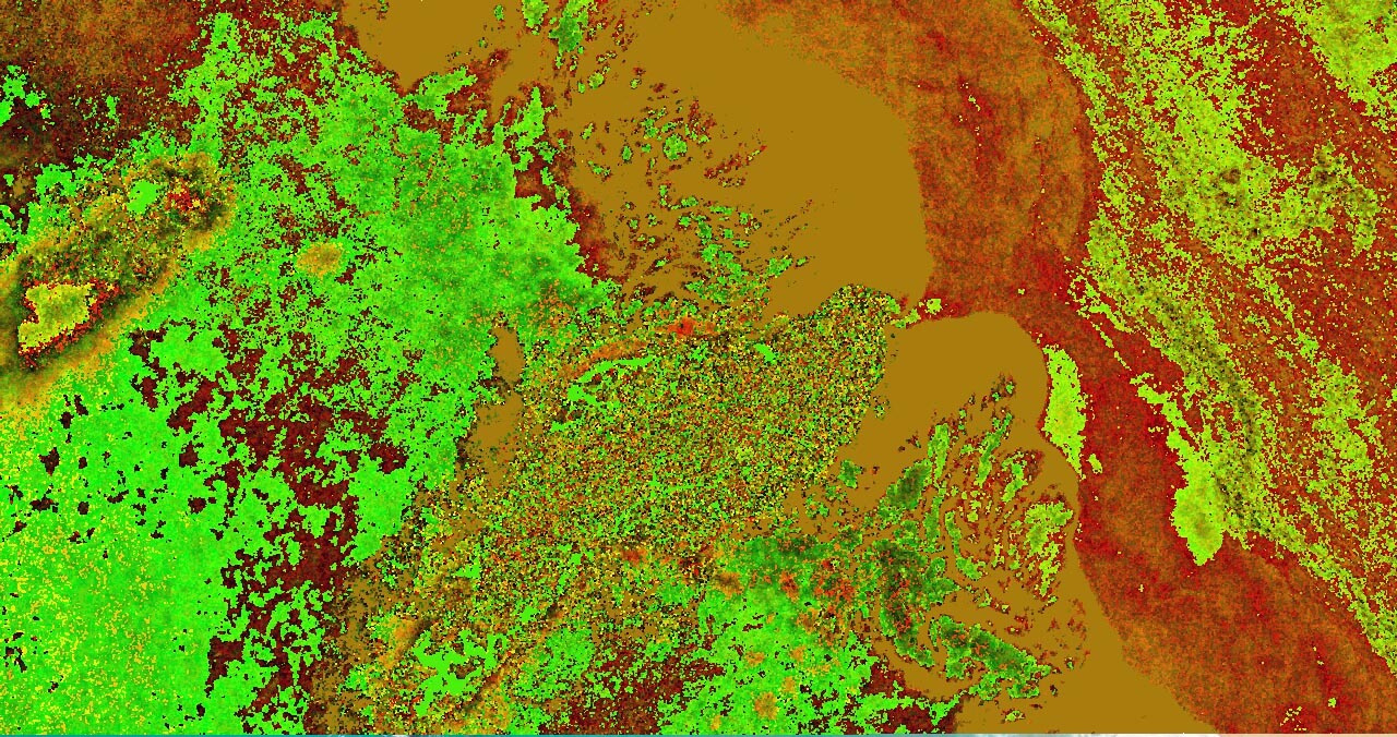 grow_research3
