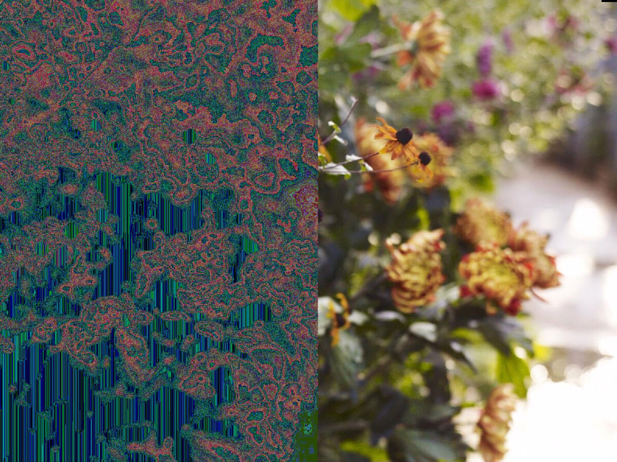 grow_research4